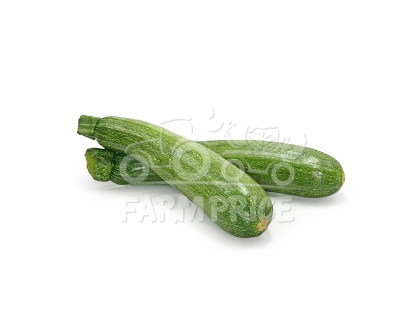 Zucchini Green